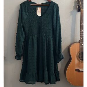 Nwt BTFBM Elegant Green Dress long sleeve Swiss dot